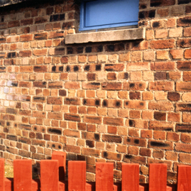 Haddington Hospital rd shelter.jpg